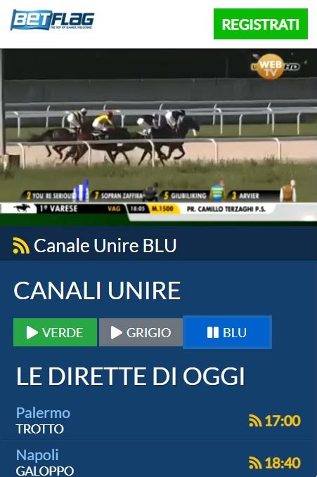 betflag diretta corse - Streaming ippica in diretta, dove vedere le corse di cavalli live